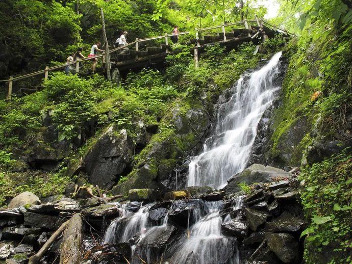 泰安市中医医院：看骨关节炎 找中医风湿